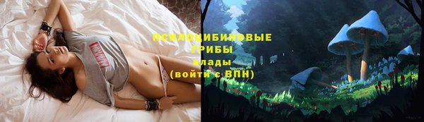 Альфа ПВП Абдулино