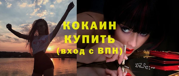 ГАЛЛЮЦИНОГЕННЫЕ ГРИБЫ Абаза