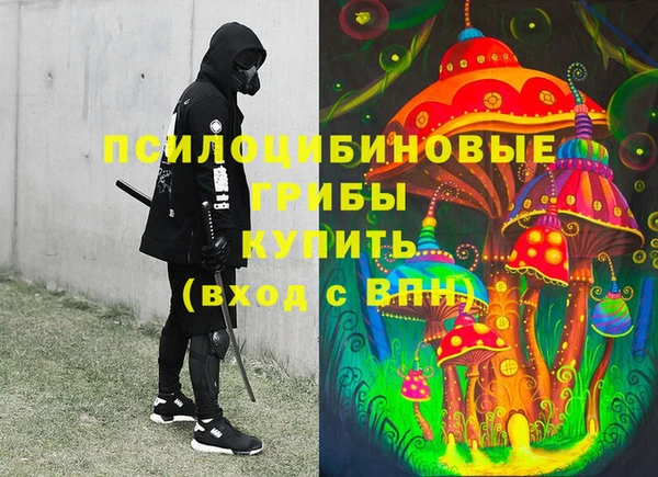 ГАЛЛЮЦИНОГЕННЫЕ ГРИБЫ Абаза