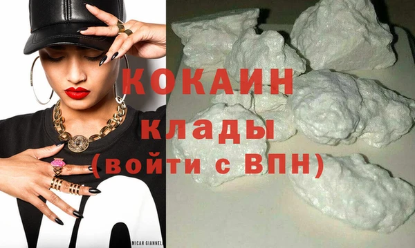 ГАЛЛЮЦИНОГЕННЫЕ ГРИБЫ Абаза