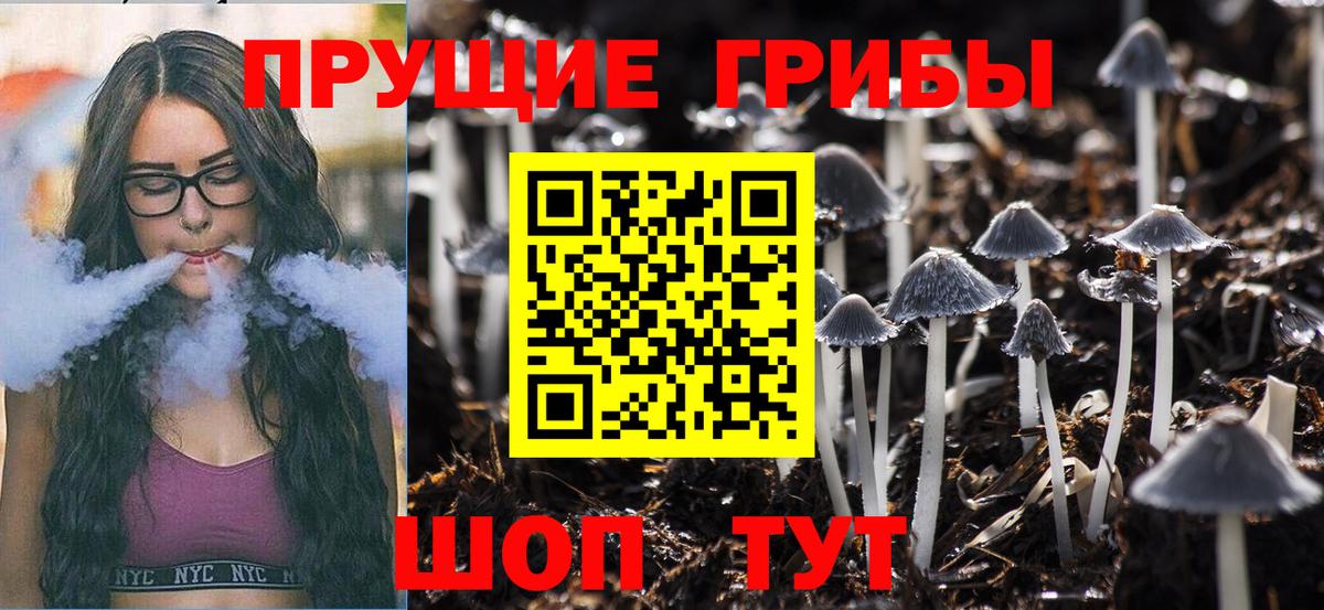 Северодвинск  Галлюциногенные грибы Cubensis  купить закладку  Вход с VPN 
