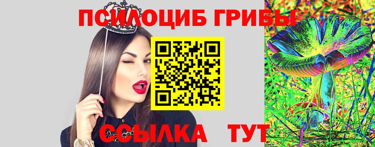 Галлюциногенные грибы прущие грибы Северодвинск